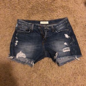 Flying monkey shorts